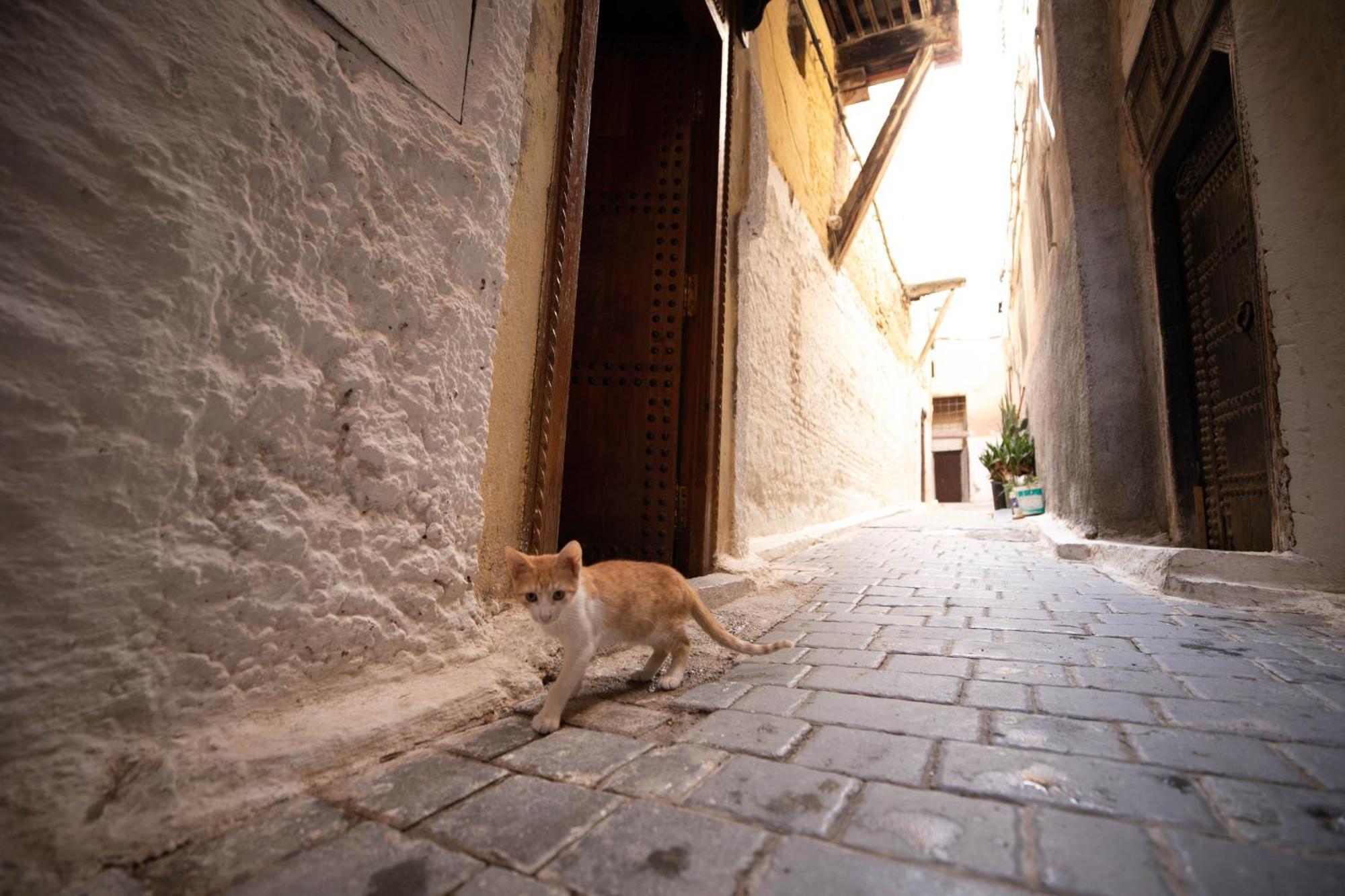 Riad Dar Omar 페스 외부 사진